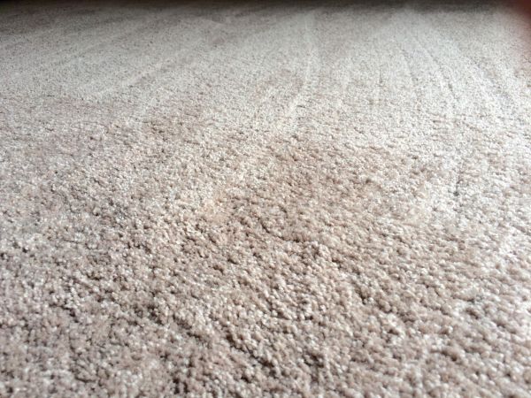Plush Carpet Installation in Pittsburgh