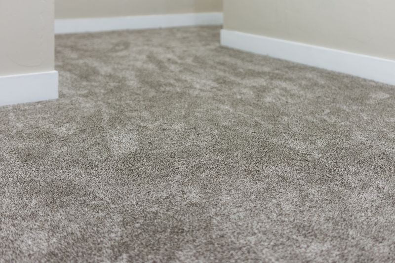 Clean Carpet in Living Room