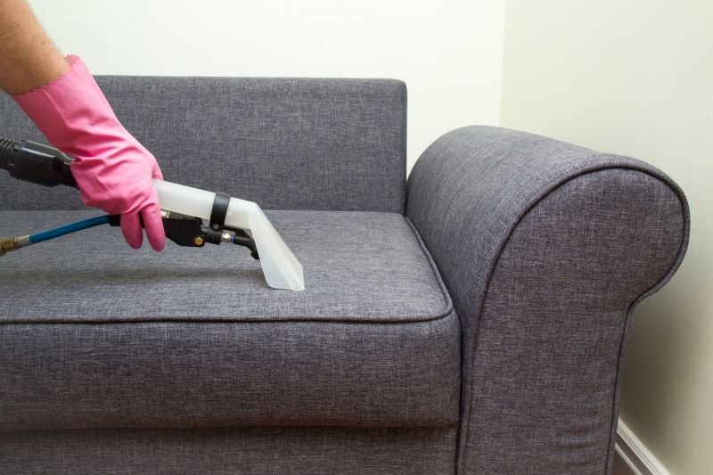 Upholstery and Carpet Cleaners